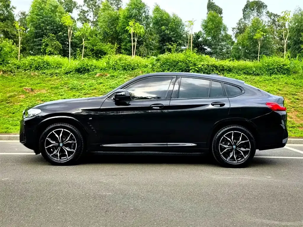 BMW X4 2022 из CN, фото 10
