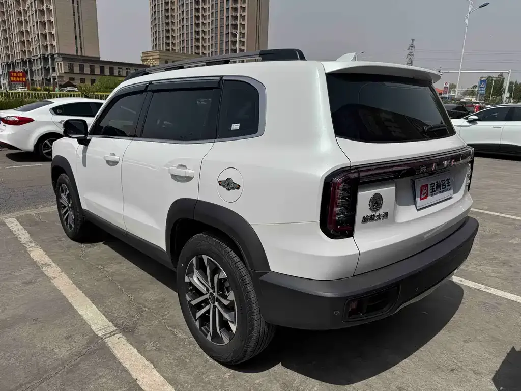 Haval Big Dog 2023 из CN, фото 10