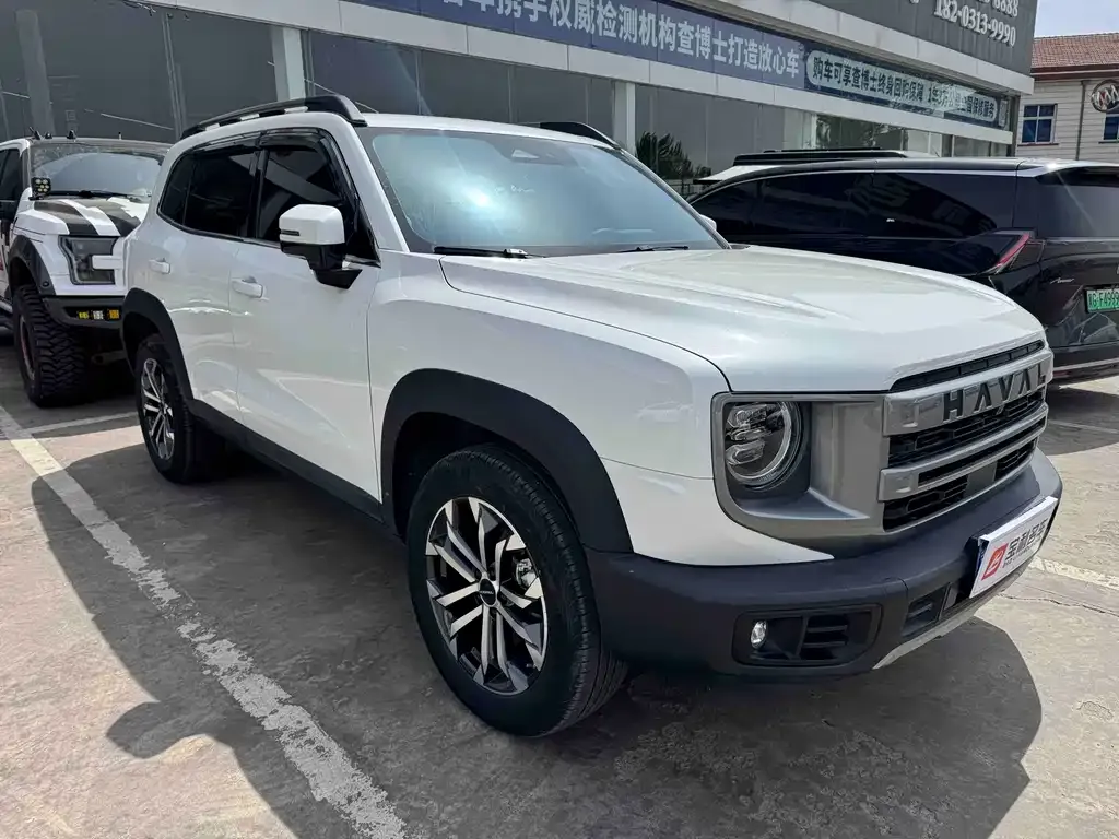 Haval Big Dog 2023 из CN, фото 6