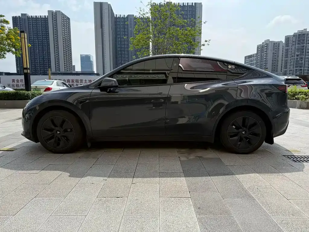 Tesla Model Y — фото 8