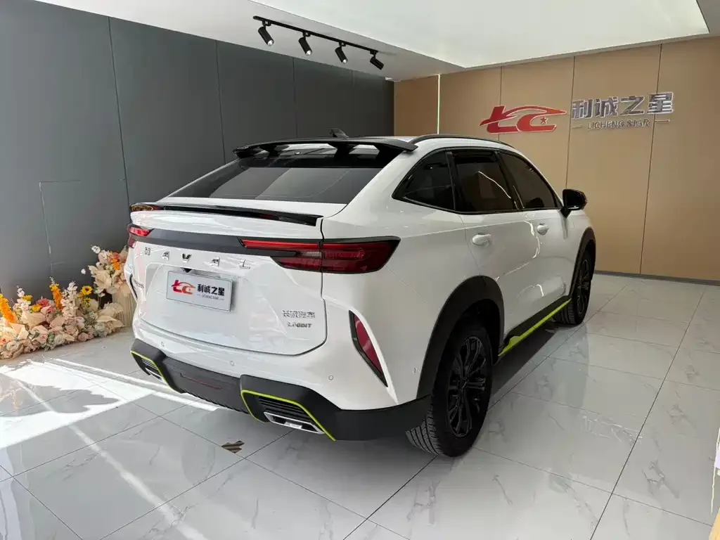 Haval H6S 2022 из CN, фото 8