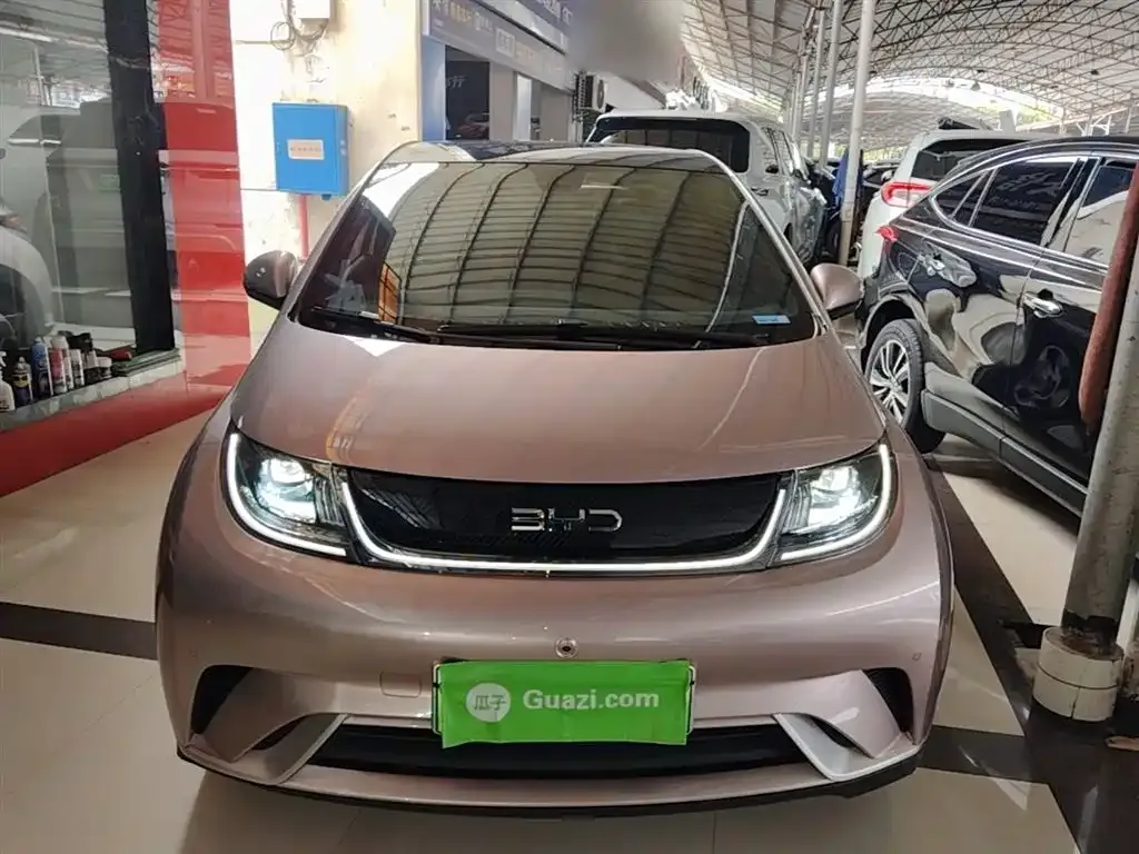 BYD Dolphin 2025 из CN, фото 5