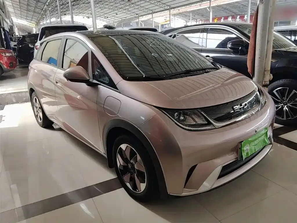 BYD Dolphin 2025 из CN, фото 8