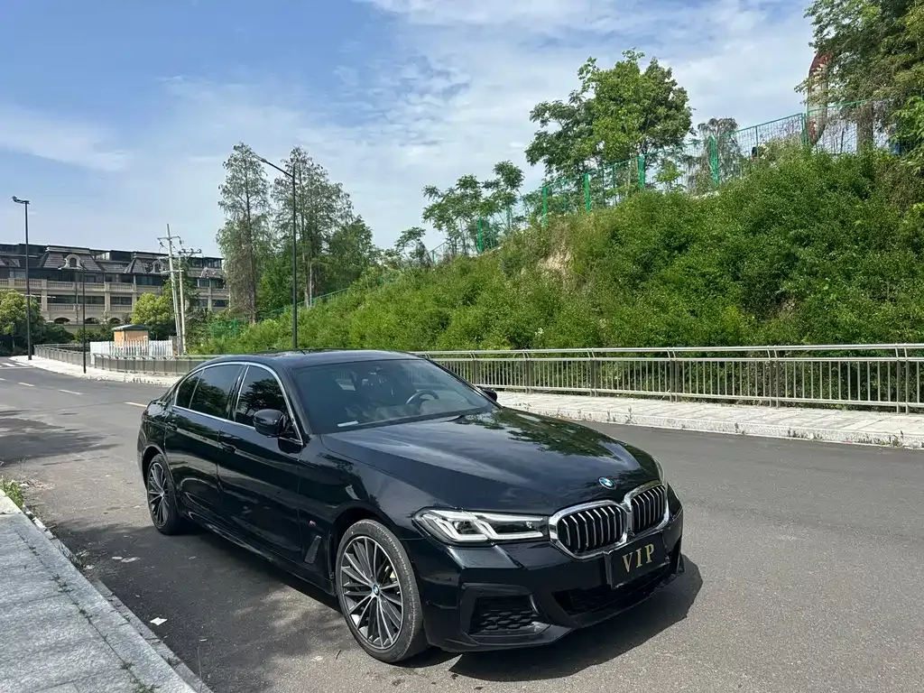 BMW 5 Series 2022 из CN, фото 1