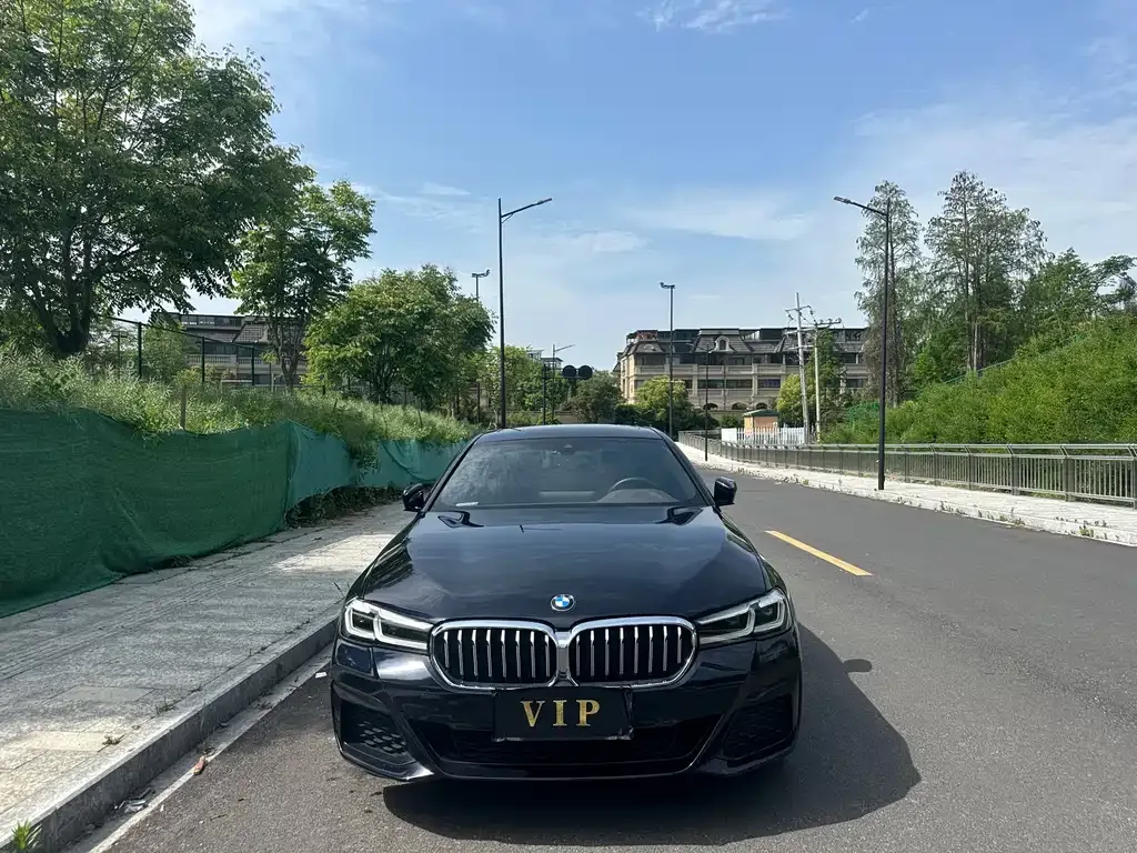 BMW 5 Series 2022 из CN, фото 6