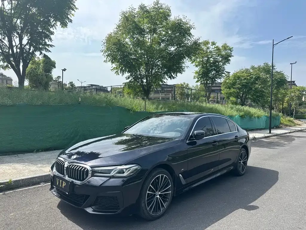 BMW 5 Series 2022 из CN, фото 7