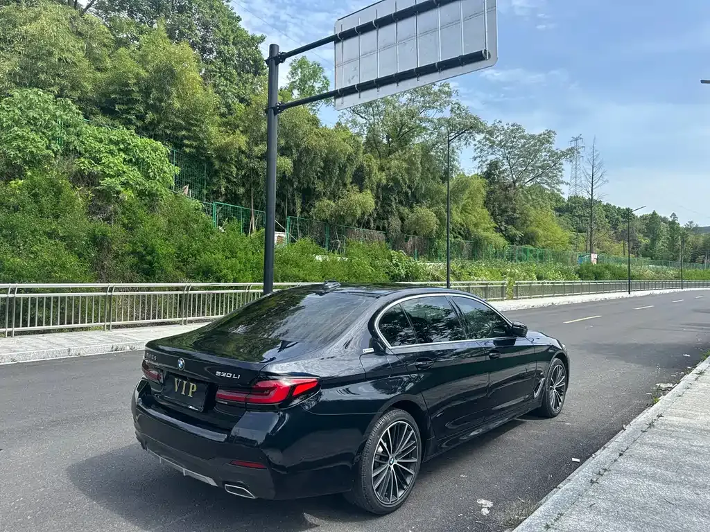 BMW 5 Series 2022 из CN, фото 9