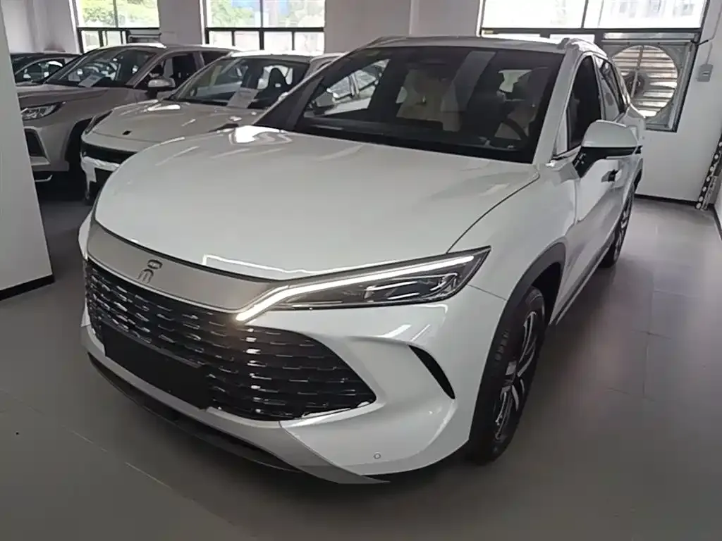 BYD L DM-i — фото 2