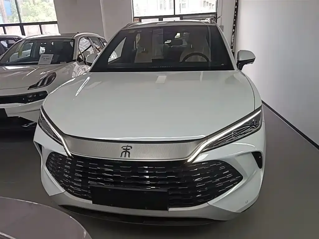 BYD L DM-i — фото 6