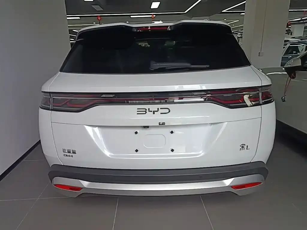BYD L DM-i — фото 4