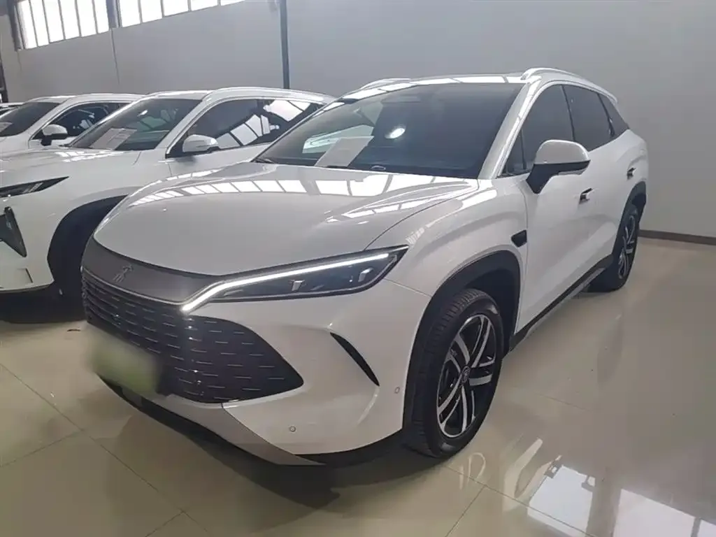 BYD L DM-i — фото 10