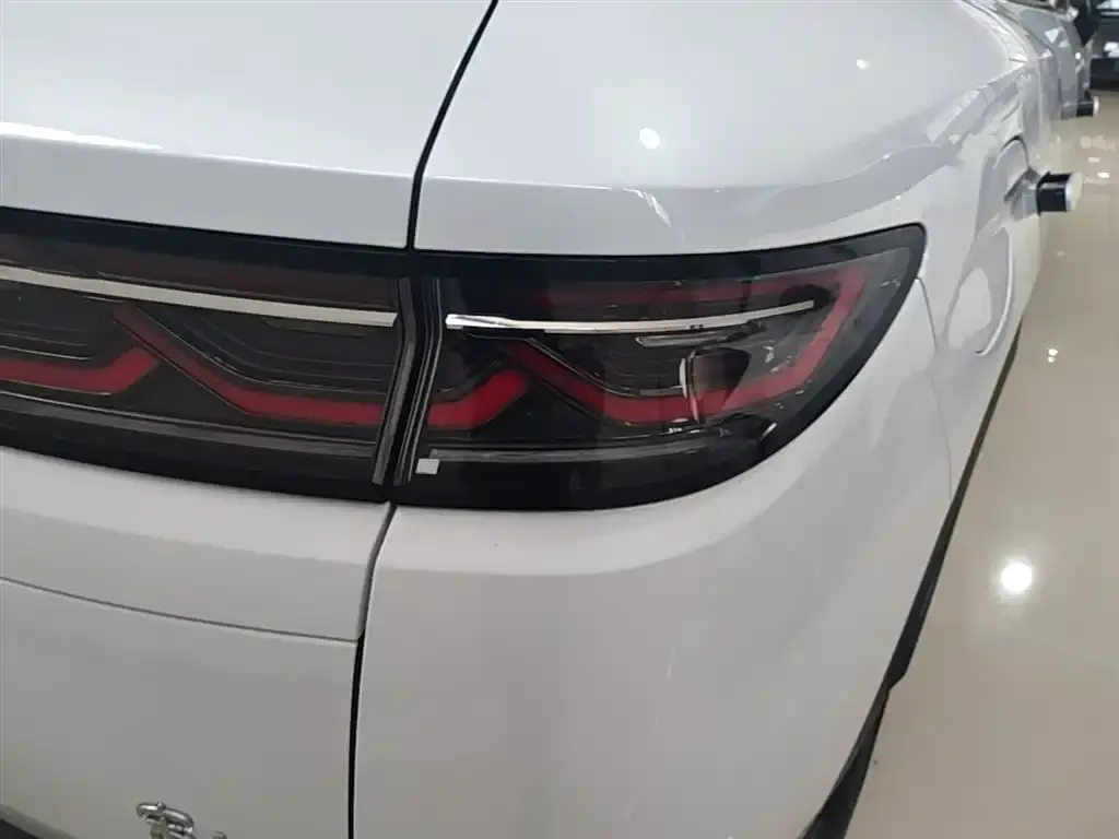 BYD L DM-i — фото 9