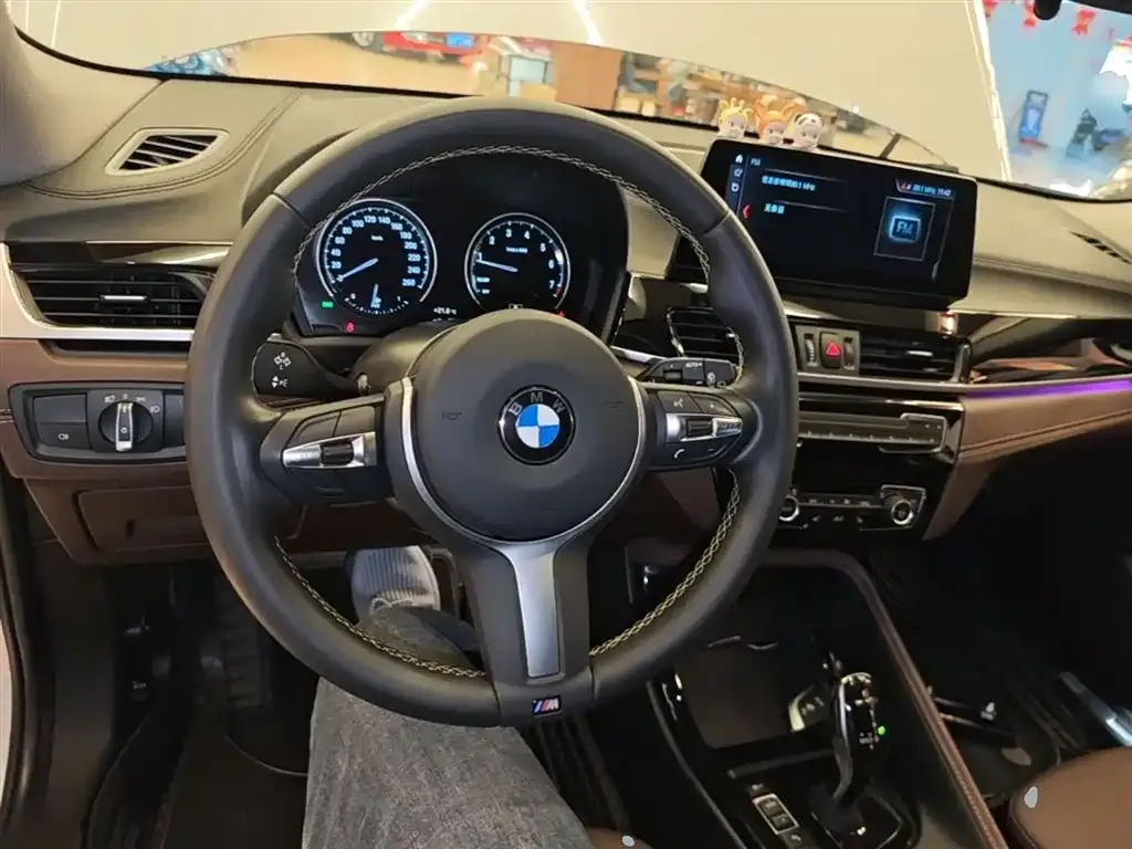 BMW X2 2023 из CN, фото 8