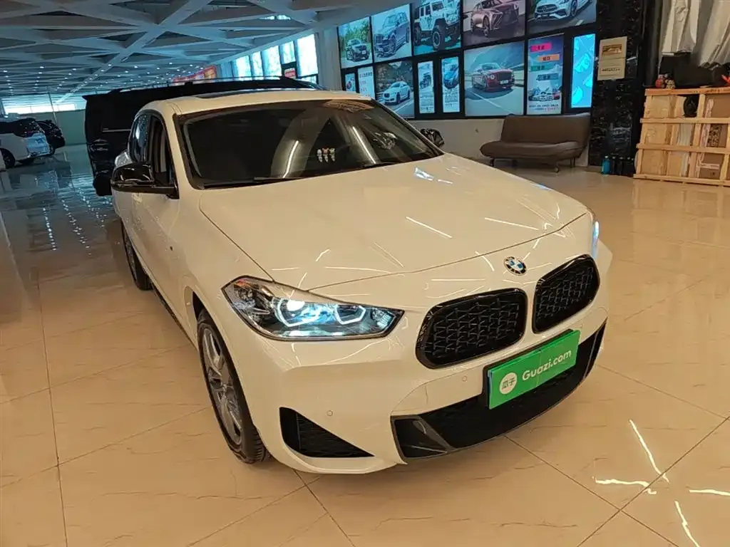 BMW X2 2023 из CN, фото 6