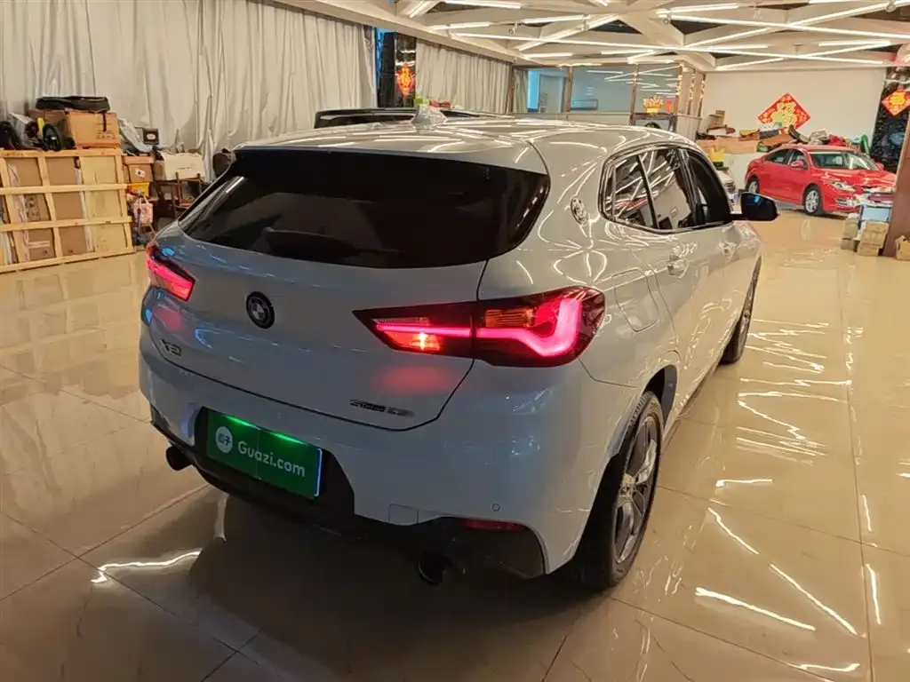 BMW X2 2023 из CN, фото 9