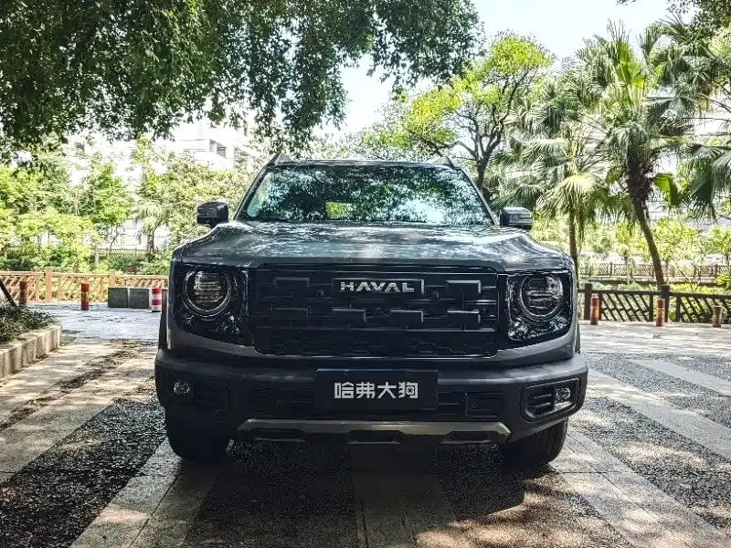 Haval Big Dog — фото 7