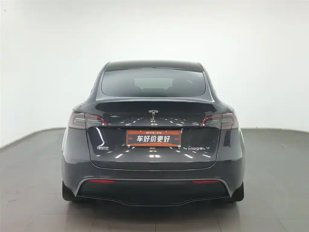 Tesla Model Y — фото 3