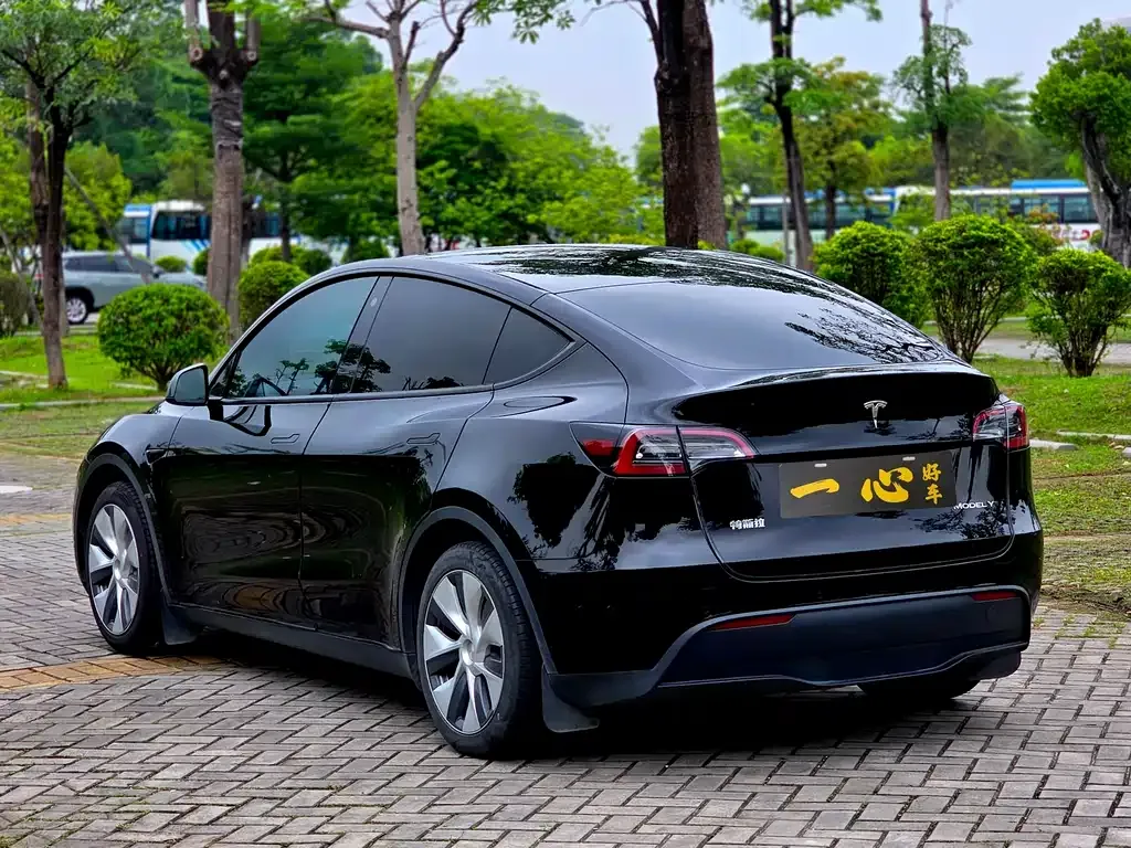 Tesla Model Y — фото 5