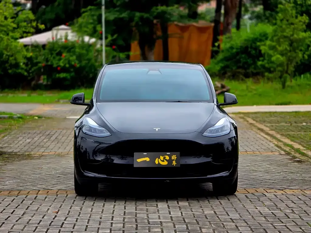 Tesla Model Y — фото 7