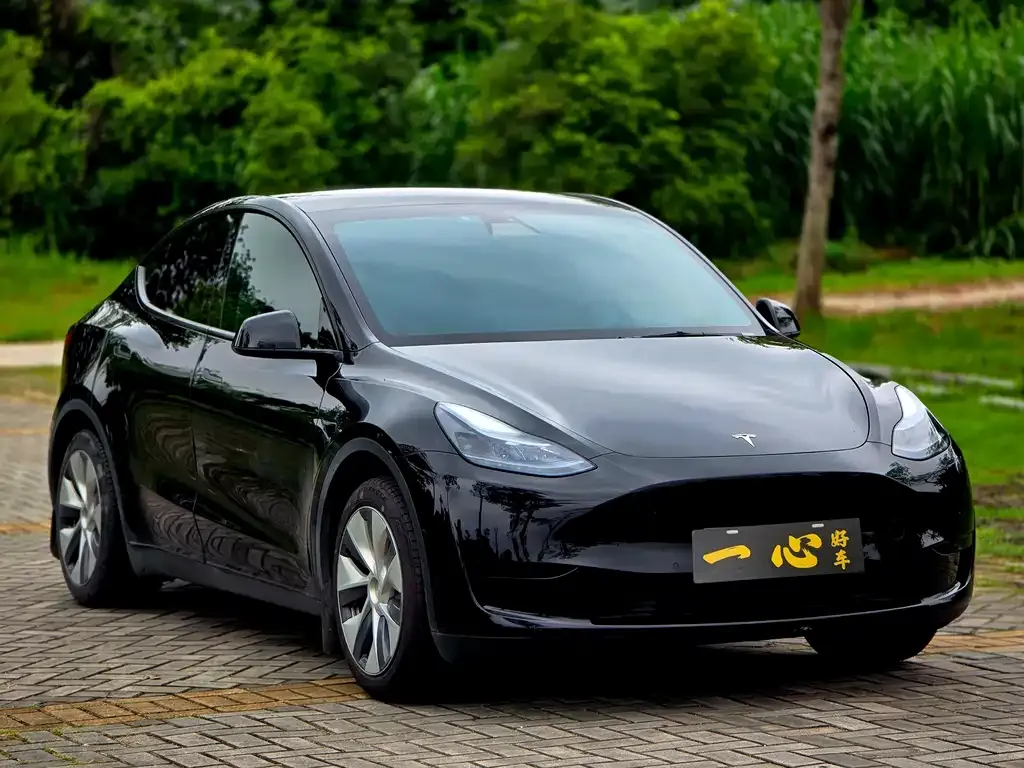 Tesla Model Y — фото 6