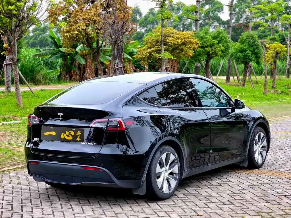 Tesla Model Y — фото 10