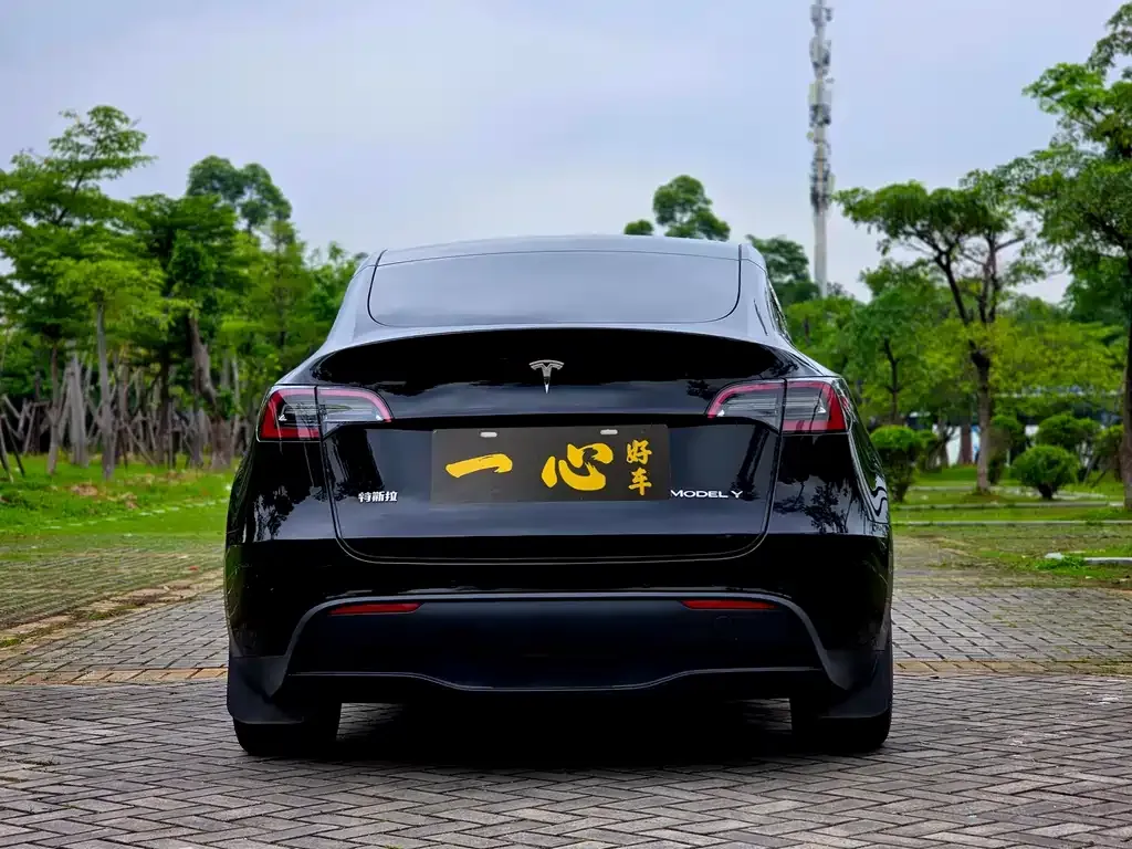 Tesla Model Y — фото 8