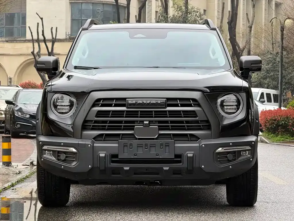 Haval Big Dog — фото 4