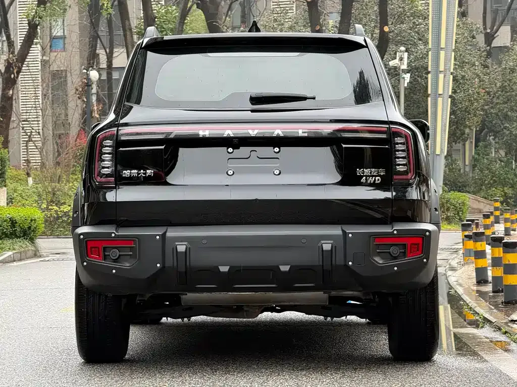 Haval Big Dog — фото 8
