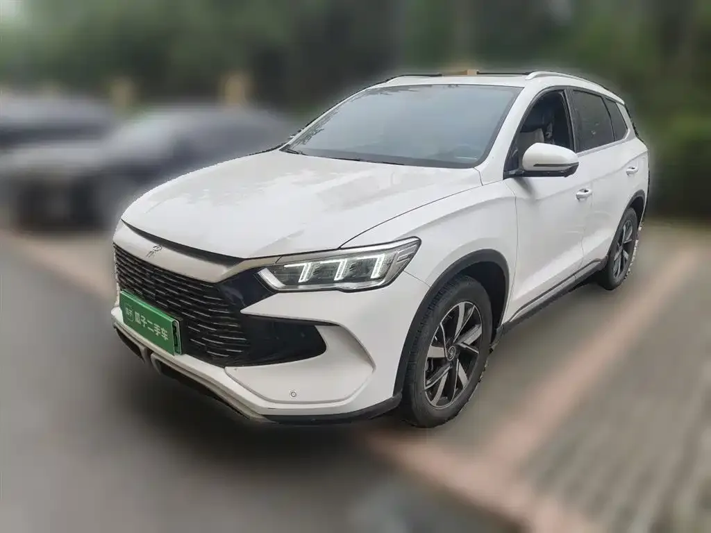 BYD Pro New Energy 2023 из CN, фото 2