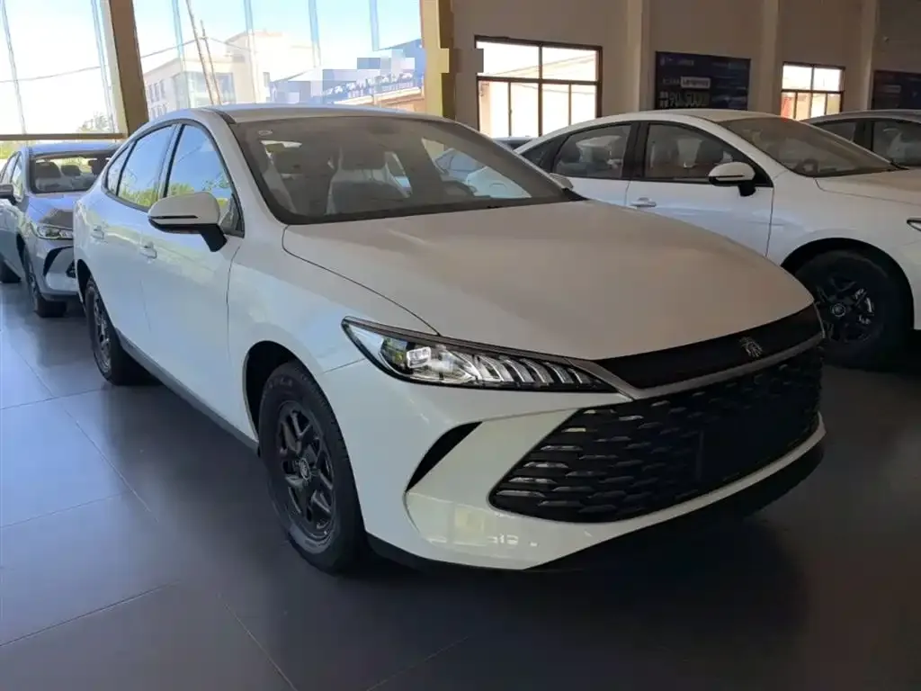 BYD Qin PLUS — фото 6
