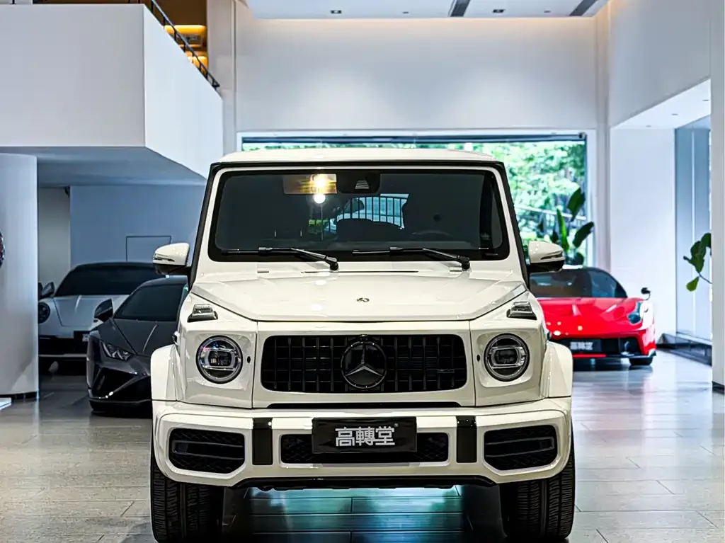 Mercedes-Benz G-Class — фото 3
