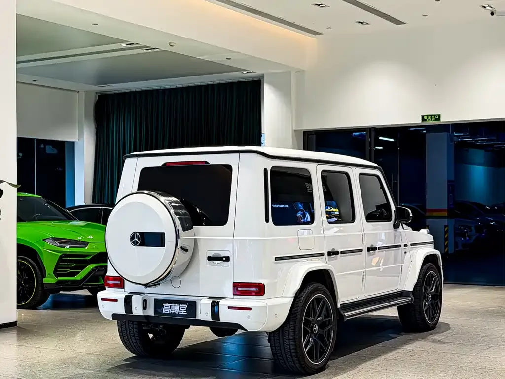 Mercedes-Benz G-Class — фото 10