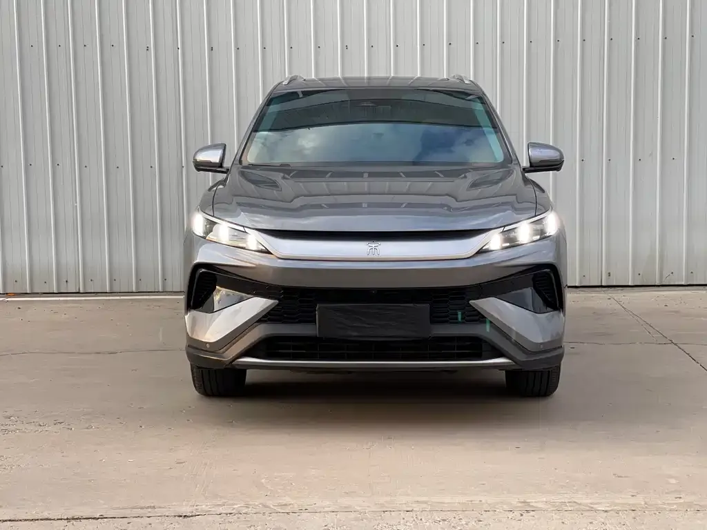 BYD Pro New Energy — фото 7
