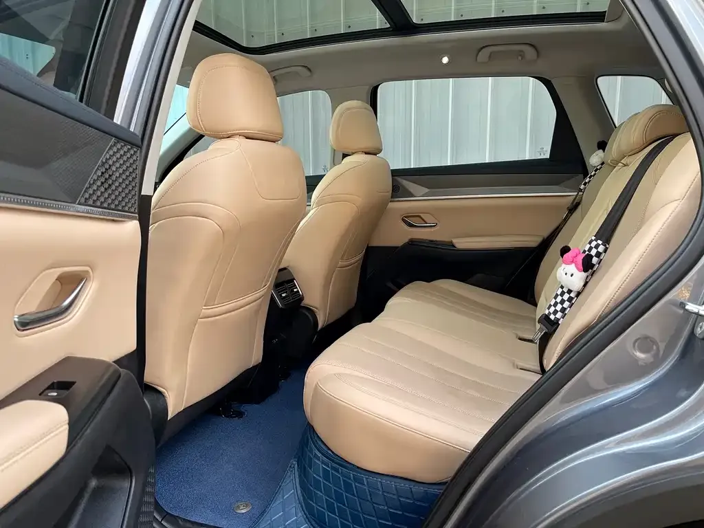 BYD Pro New Energy — фото 5
