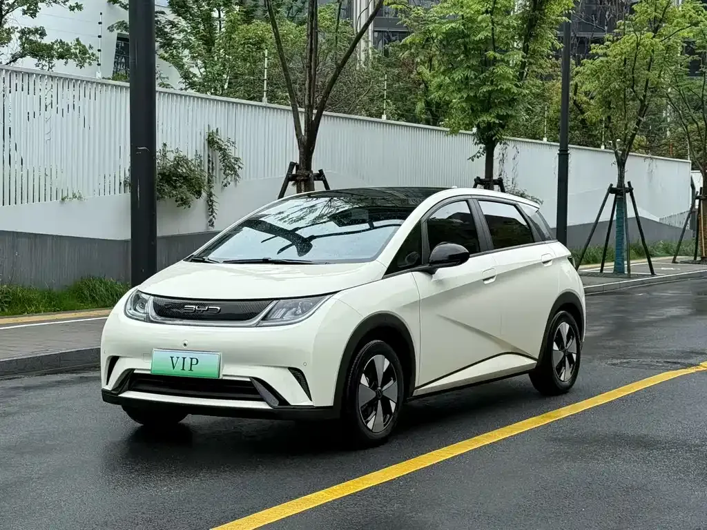 BYD Dolphin