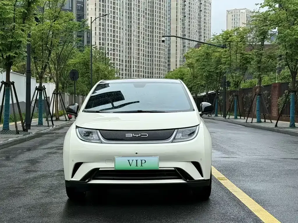BYD Dolphin 2023 из CN, фото 8