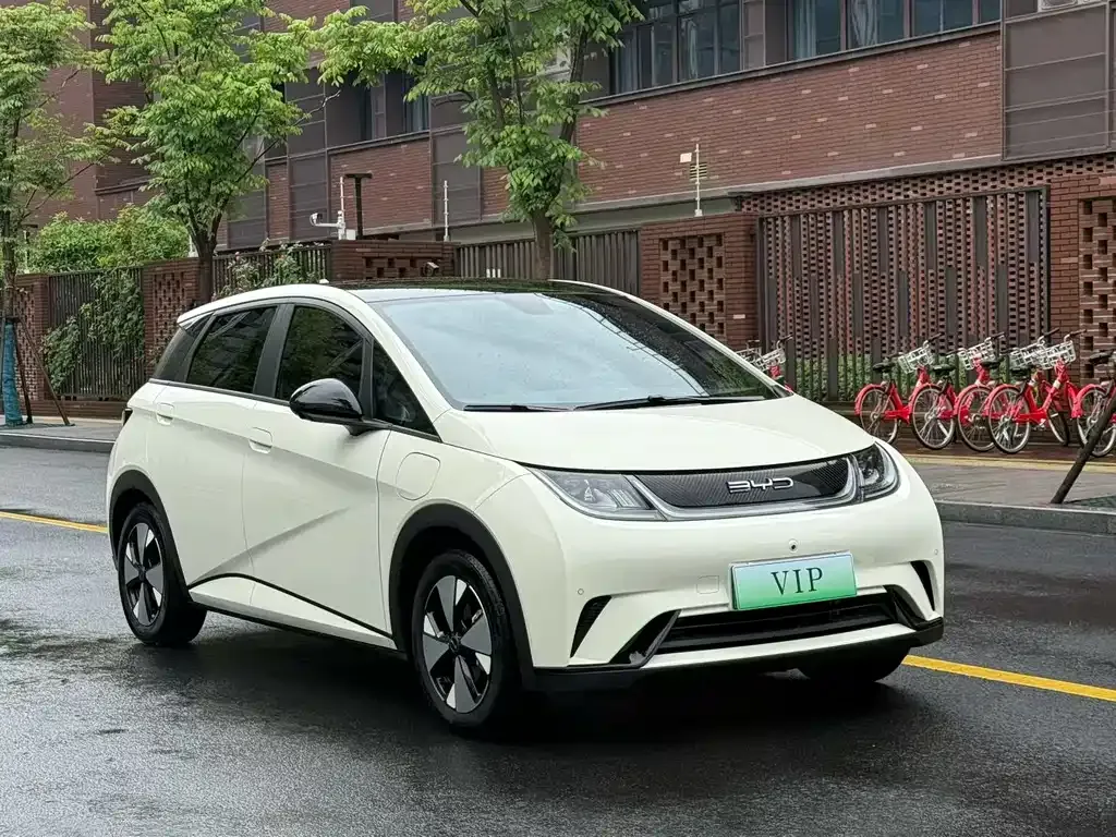BYD Dolphin 2023 из CN, фото 7