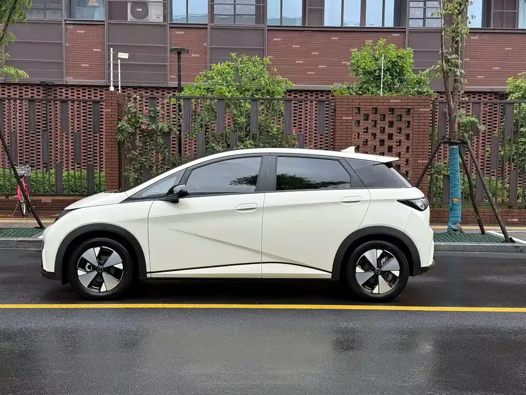 BYD Dolphin 2023 из CN, фото 9