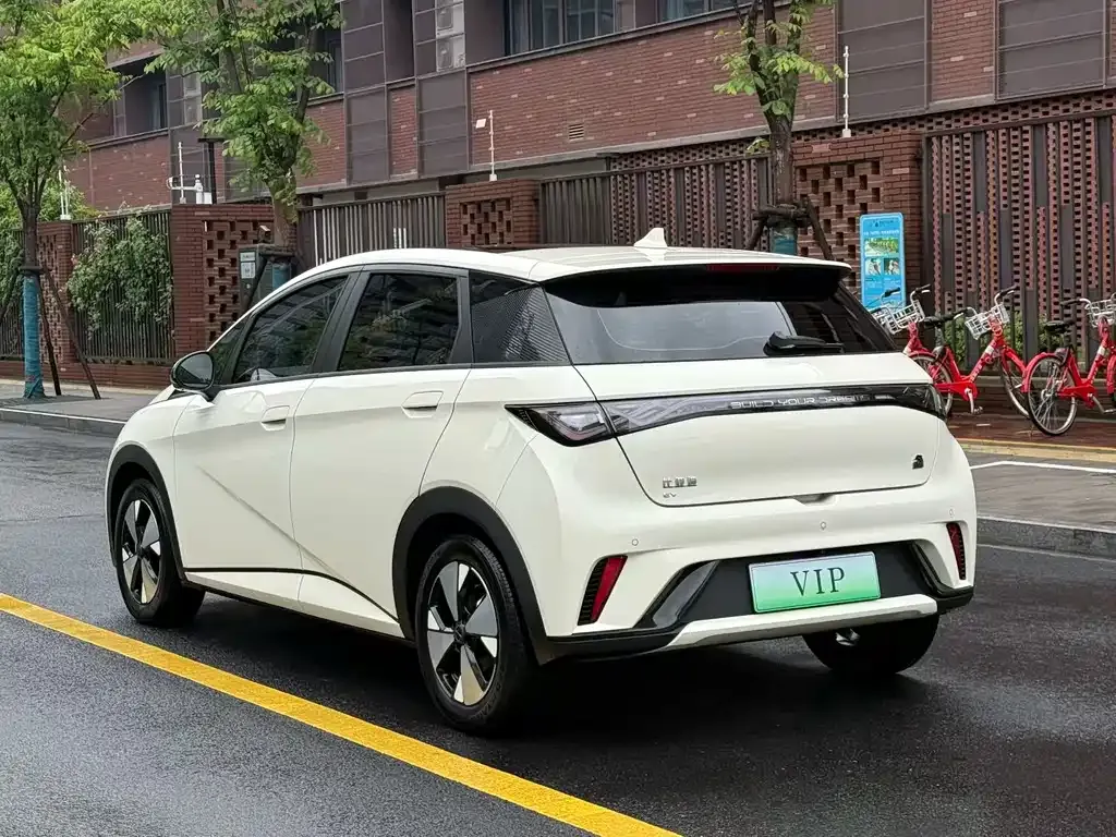 BYD Dolphin 2023 из CN, фото 5