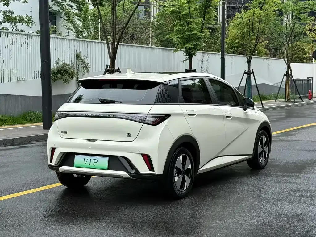 BYD Dolphin 2023 из CN, фото 6