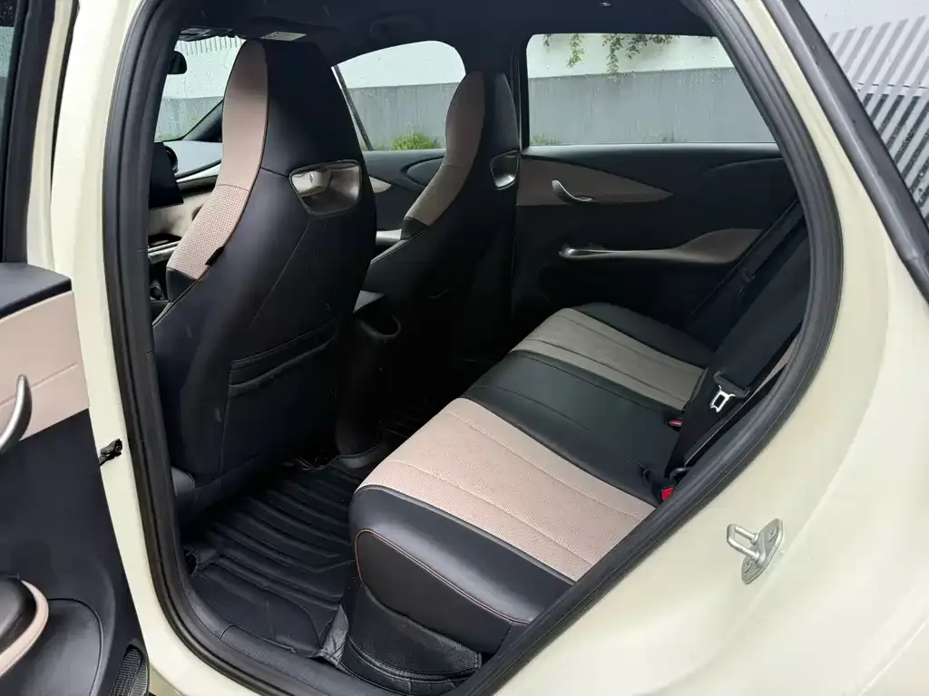 BYD Dolphin 2023 из CN, фото 2