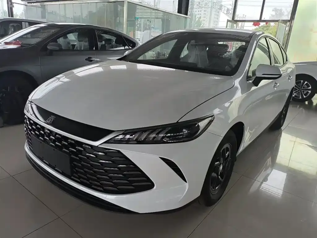 BYD Qin PLUS — фото 3