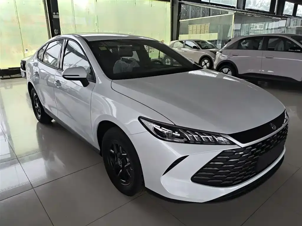 BYD Qin PLUS — фото 7