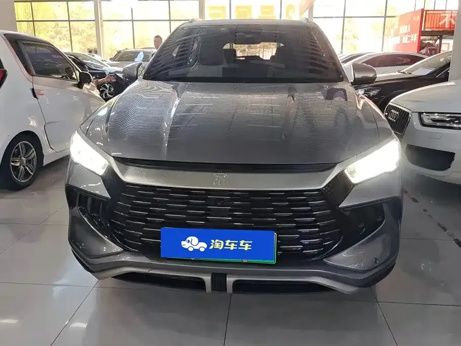 BYD Pro New Energy 2023 из CN, фото 2