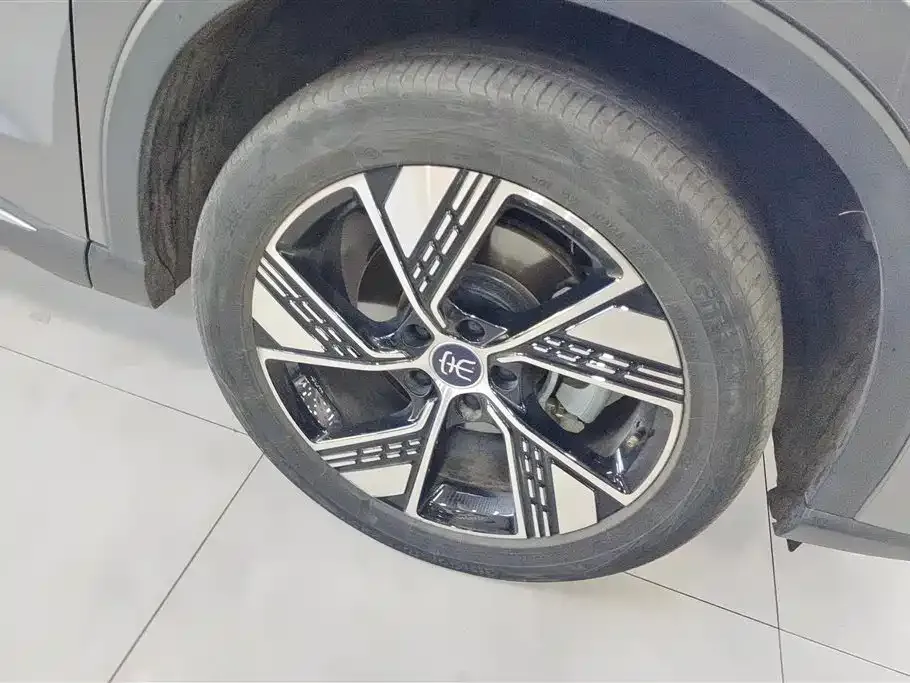 BYD Pro New Energy 2023 из CN, фото 6