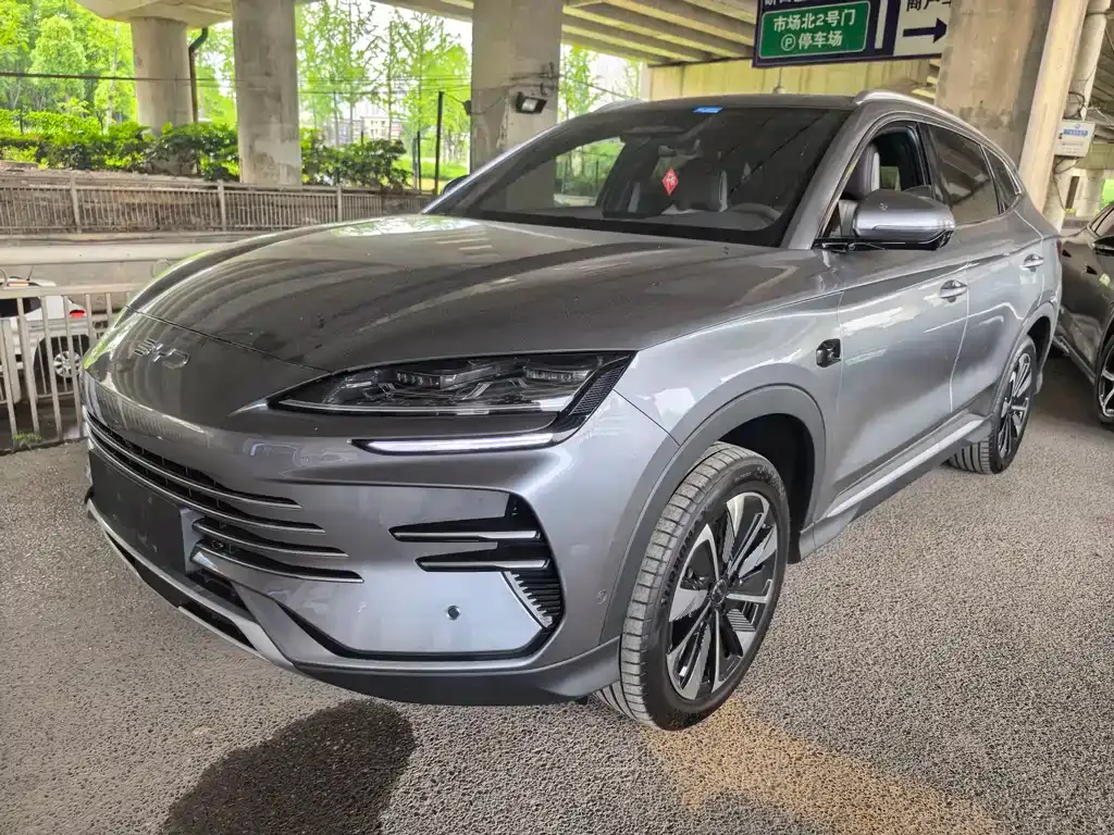 BYD PLUS New Energy — фото 1