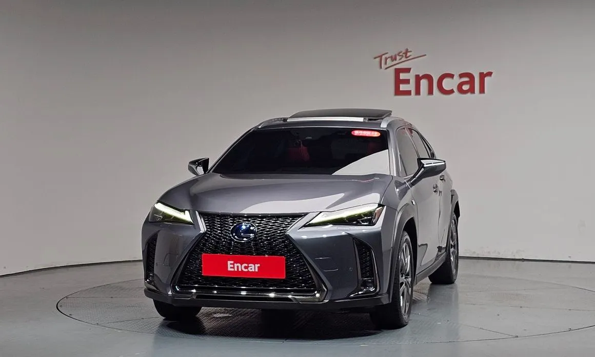 Lexus UX 2021 из KR, фото 7