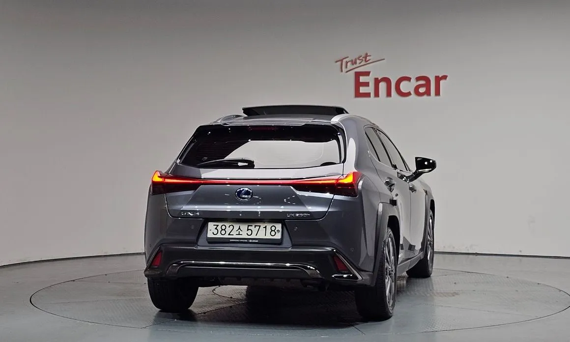 Lexus UX 2021 из KR, фото 8