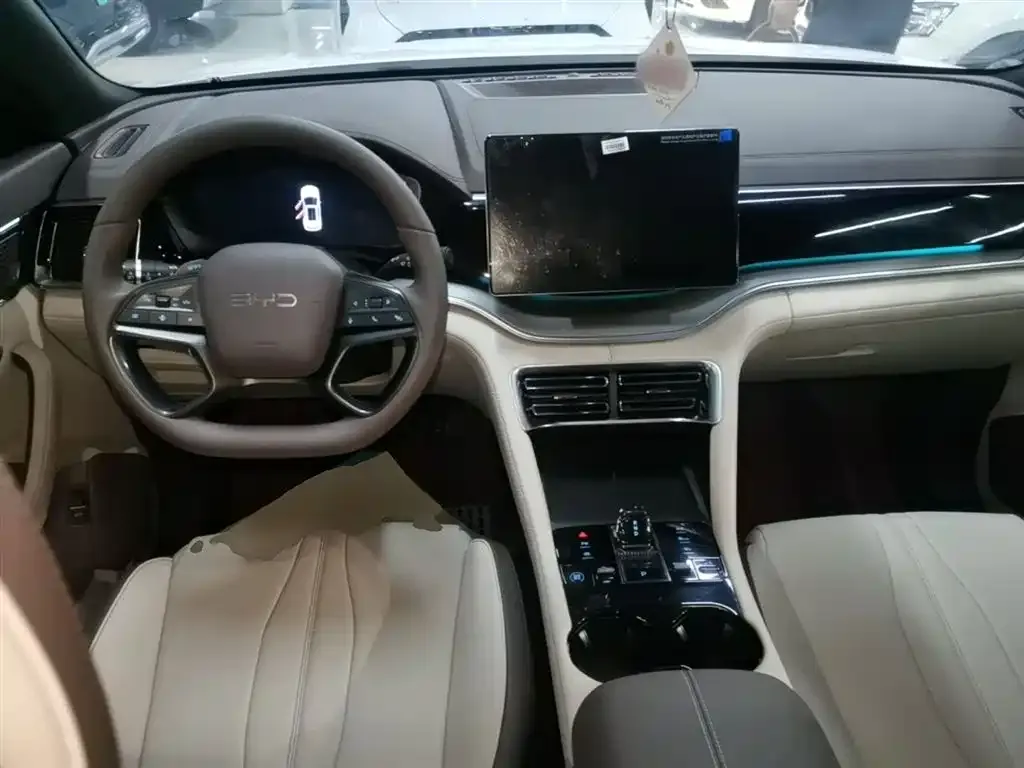 BYD PLUS New Energy 2025 из CN, фото 4