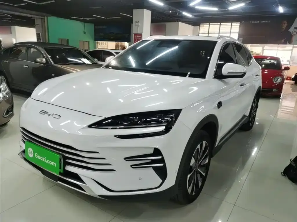 BYD PLUS New Energy 2025 из CN, фото 3